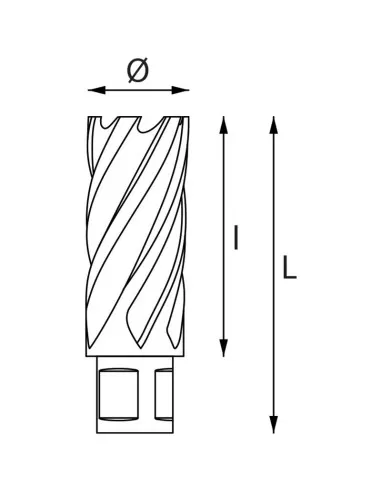Fresa a tazza con attacco weldon 53 mm Fervi f011/53