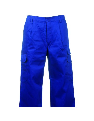 Pantalone da lavoro pantaloni multitasche leggero taglie forti Payper cargo+