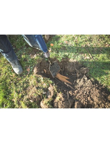 Vanga multifunzione pneumatica Scheppach Aero Spade con accessori e scalpelli