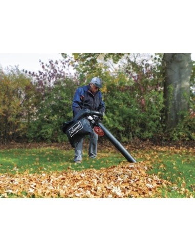 7 - Soffiatore a scoppio Scheppach lbh2600p con aspiratore e trituratore