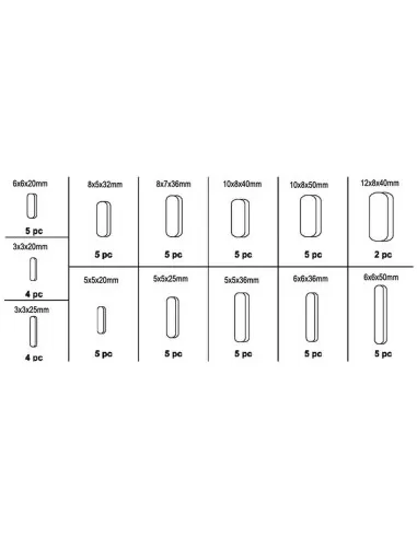 2 - Serie set kit assortimento 60 chiavette parallele Fervi 0257