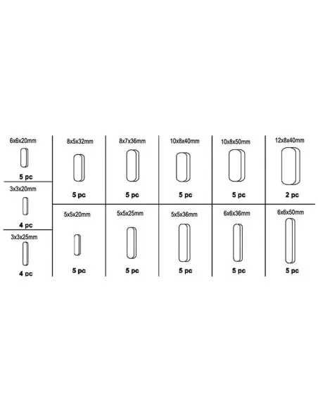 2 - Serie set kit assortimento 60 chiavette parallele Fervi 0257