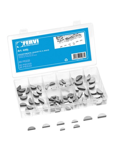Serie set kit assortimento chiavette a disco Fervi 0263