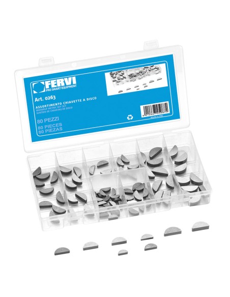 Serie set kit assortimento chiavette a disco Fervi 0263