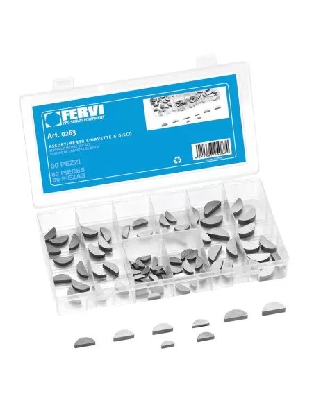 1 - Serie set kit assortimento chiavette a disco Fervi 0263