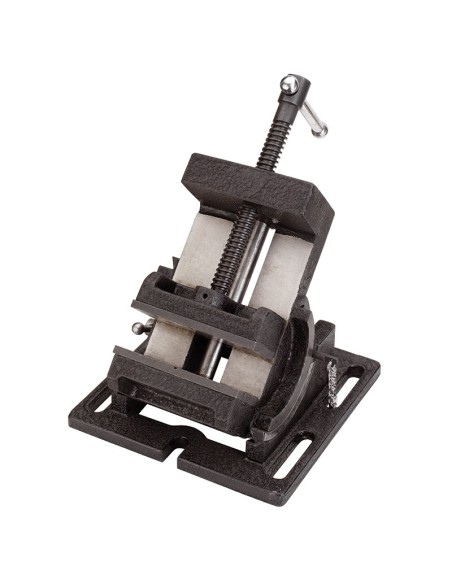 Morsa inclinabile Fervi 0698/100