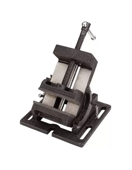 Morsa inclinabile Fervi 0698/100