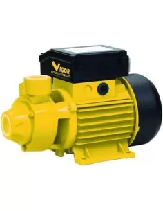 1 - Elettropompa periferica motore 220v 550w VIGOR v-ep1m