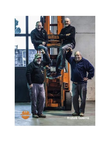 Scarpa antinfortunistica lavoro alta pelle Dike agility advance h s3 src 23721