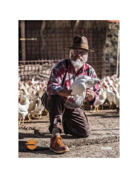 Scarpa antinfortunistica da lavoro bassa pelle Dike raving racy s3 src 26012