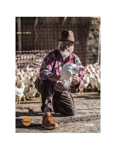 Scarpa antinfortunistica da lavoro bassa pelle Dike raving racy s1p src 26016