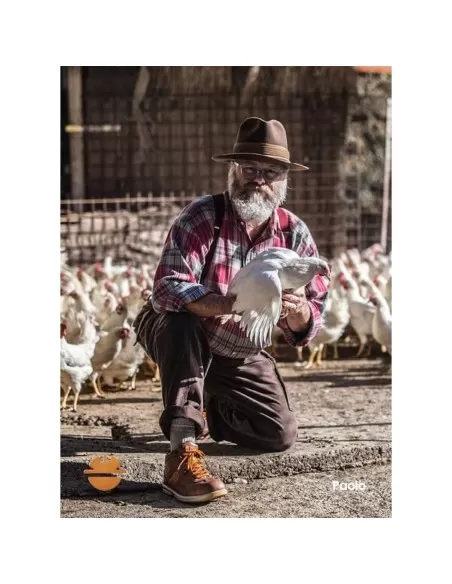 Scarpa antinfortunistica da lavoro bassa pelle Dike raving racy s1p src 26016 Scarpa antinfortunistica da lavoro bassa pelle Dike raving racy s1p src 26016