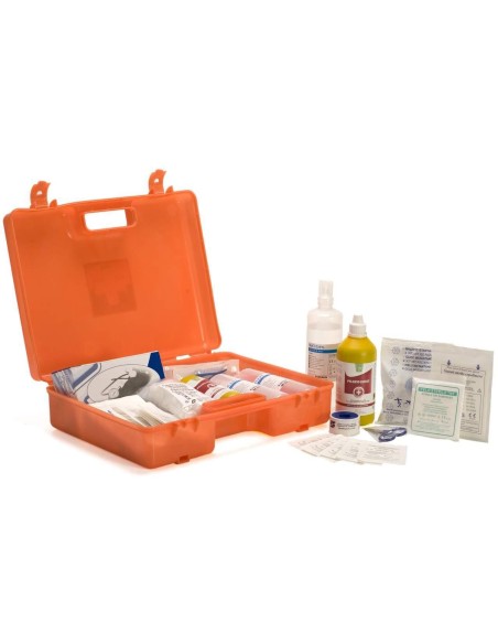 Valigetta medica pronto soccorso allegato 1 aziende con piu di 3 dipendenti