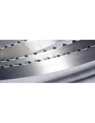 Lama sega a nastro 16x0,50 per alimenti in acciaio al carbonio