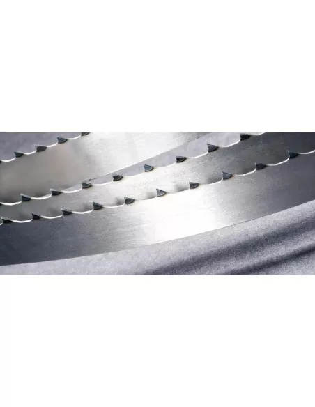 3 - Lama sega a nastro 16x0,50 per alimenti in acciaio al carbonio 3 - Lama sega a nastro 16x0,50 per alimenti in acciaio al carbonio