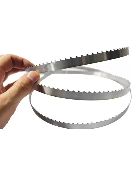 1 - Lama sega a nastro 20x0,50 per alimenti in acciaio al carbonio