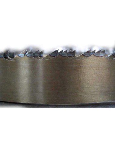 Lama sega a nastro 20x0,50 per alimenti in acciaio al carbonio