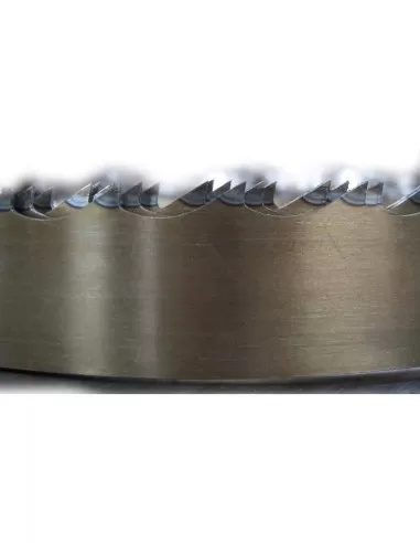 3 - Lama sega a nastro 20x0,50 per alimenti in acciaio al carbonio