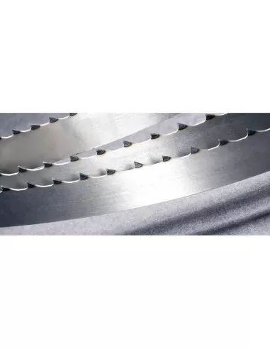 4 - Lama sega a nastro 20x0,50 per alimenti in acciaio al carbonio