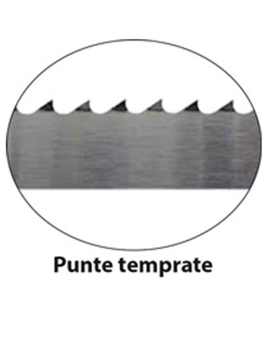 Lama sega a nastro 20x0,50 per alimenti in acciaio al carbonio