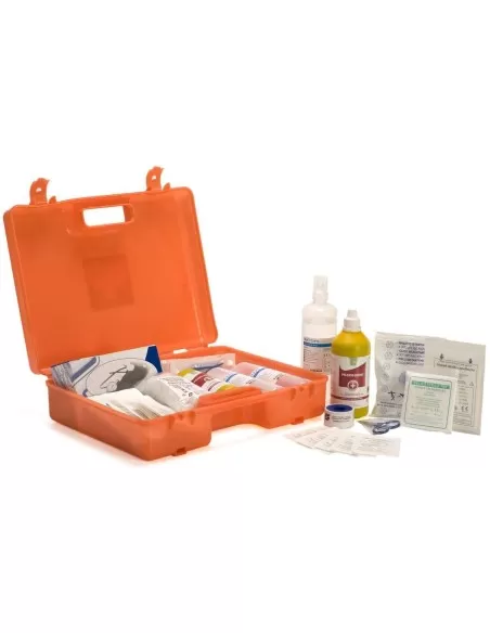 Valigetta medica pronto soccorso allegato 1 aziende con piu' di 3 dipendenti