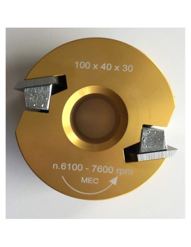 1 - Testa portacoltelli per fresa toupie combinata senza limitatori 100x40x30 mm