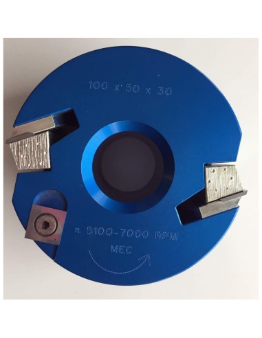 1 - Testa portacoltelli per fresa toupie combinata 100x50x30 mm