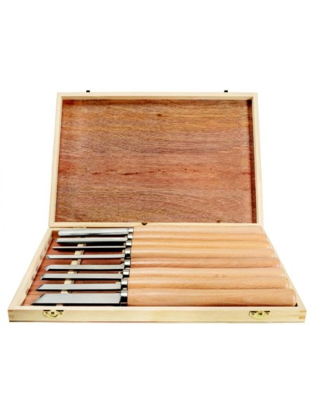 Set 8 pezzi scalpelli sgorbie per tornio da legno Scheppach
