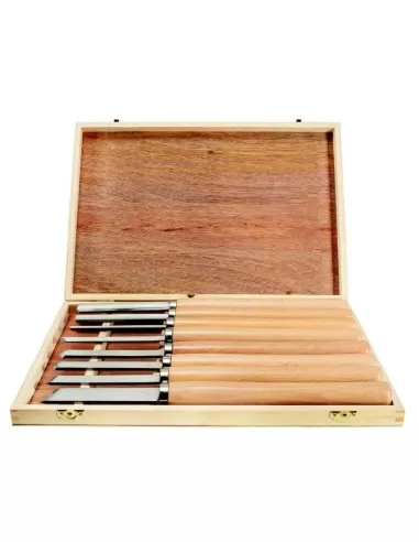 3 - Tornio per legno Scheppach dm600vario 550w 600mm + set 8 scalpelli sgorbie