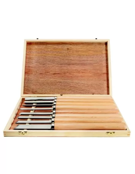 Tornio per legno Scheppach dm1100t 400w 1000mm + set 8 scalpelli sgorbie