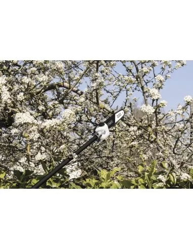 3 - Decespugliatore multifunzione tagliasiepe motosega potatore Scheppach mfh5200-4p