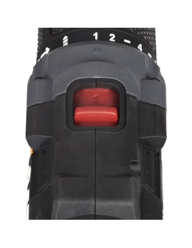 Trapano avvitatore a batteria a percussione brushless 18v 2.0ah Cat dx12