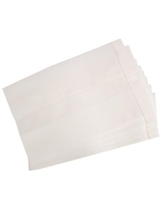 Kit 5 sacchetti di ricambio per aspira trucioli polvere Scheppach dc100