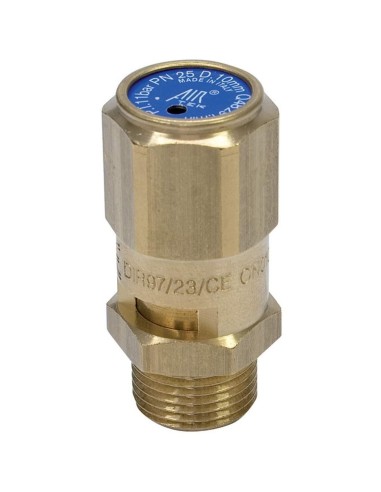 Valvola omologata cee con filetto maschio per compressore 1/4