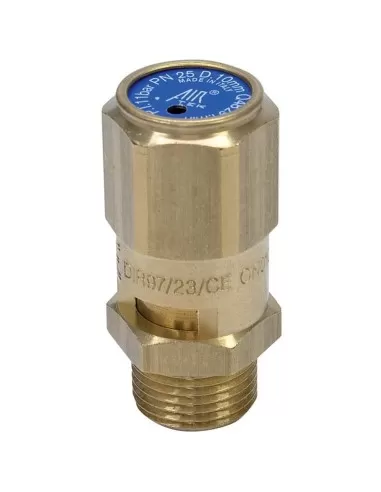 Valvola omologata cee con filetto maschio per compressore 1/4