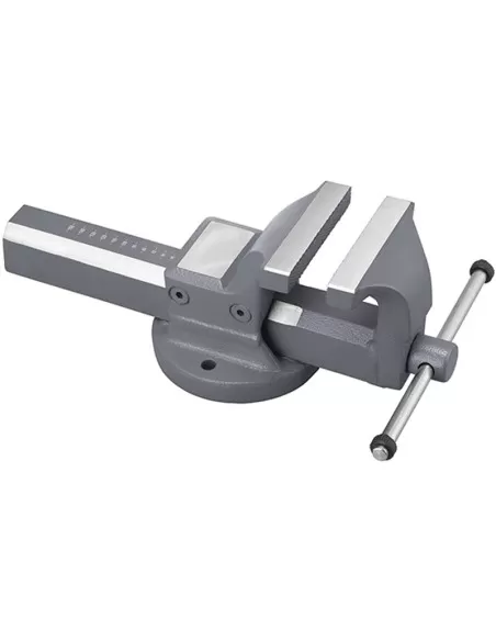 1 - Morsa da banco 125 mm in acciaio Fervi 0135/125 1 - Morsa da banco 125 mm in acciaio Fervi 0135/125