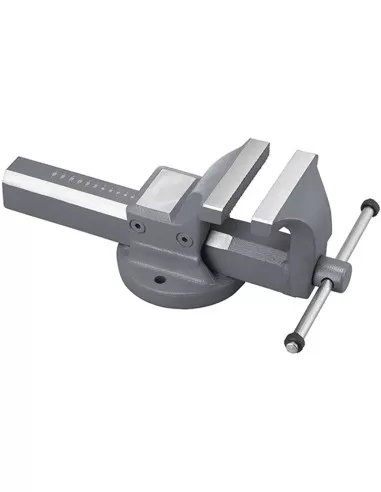 1 - Morsa da banco 150 mm in acciaio Fervi 0135/150