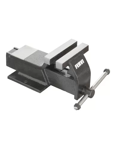 1 - Morsa da banco 100 mm in acciaio Fervi 0145/100
