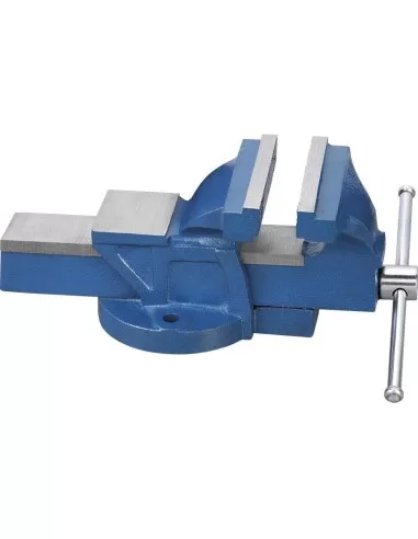 Morsa da banco 100 mm in ghisa Fervi 0174/100