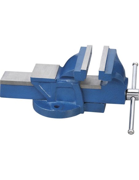 Morsa da banco 100 mm in ghisa Fervi 0174/100