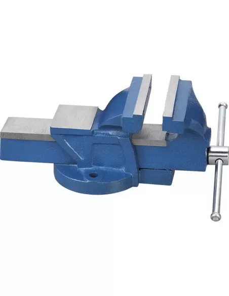 1 - Morsa da banco 125 mm in ghisa Fervi 0174/125