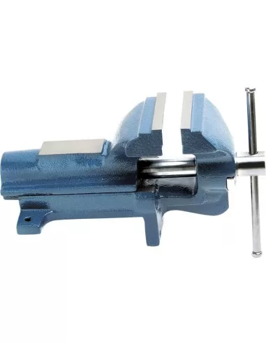 1 - Morsa da banco 125 mm in ghisa Fervi 0427/125