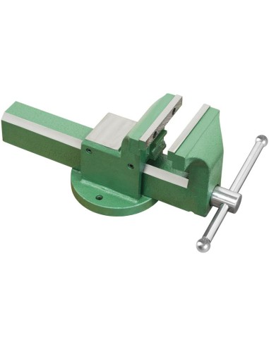 Morsa da banco 100 mm in acciaio Fervi 0591/100