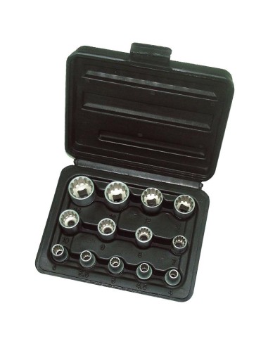 Serie 13 chiavi bussola 1/4 multilock Fervi 0795/1