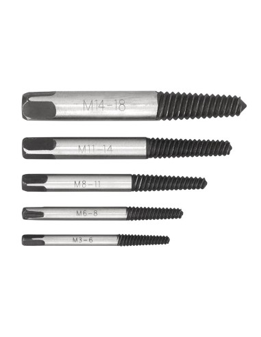 Serie 5 estrattori per viti m3 - m18 Fervi e001