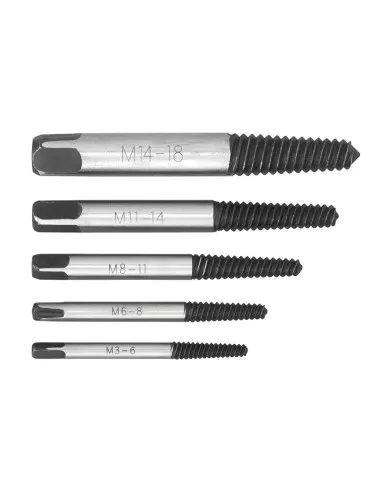 Serie 5 estrattori per viti m3 - m18 Fervi e001