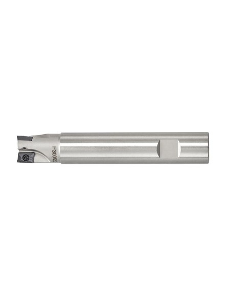Fresa a inserto Fervi f300/14