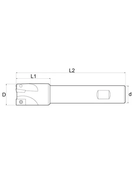 Fresa a inserto Fervi f300/16