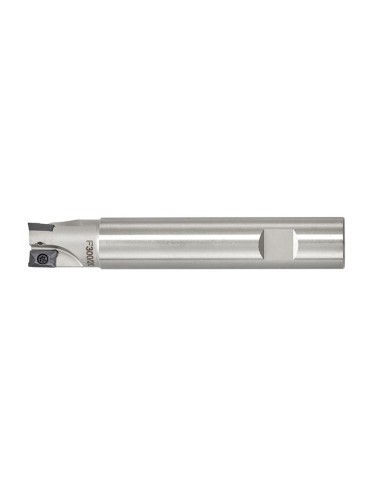 Fresa a inserto 20 mm x fresatrice Fervi f300/20