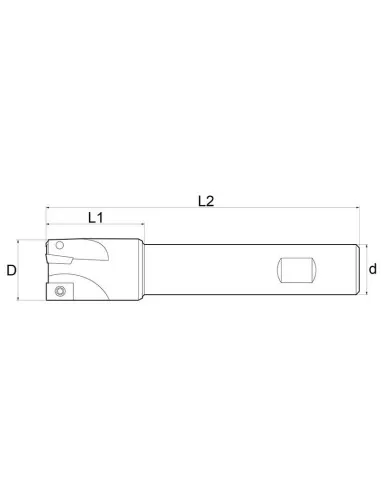 Fresa a inserto Fervi f300/32/16l